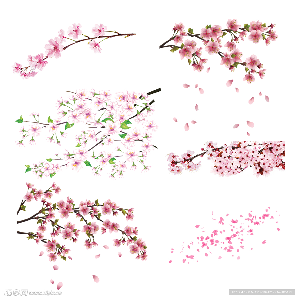 梅花