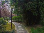 小区风景