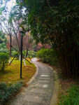 小区风景