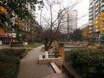 小区风景