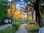 小区风景