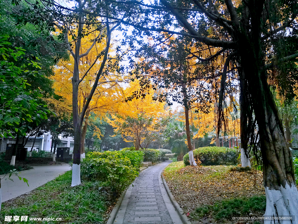 小区风景