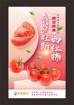 普罗旺斯西红柿