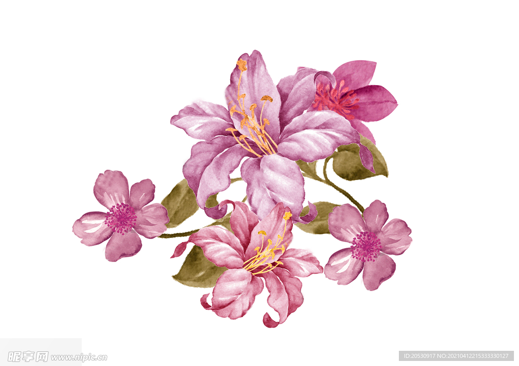 鲜花元素