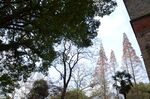 苏州大学校园景色