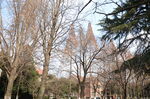苏州大学校园景色