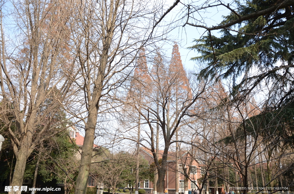 苏州大学校园景色
