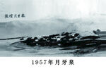老照片