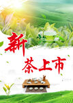 新茶上市海报