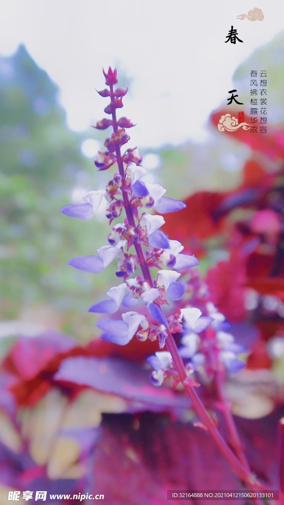 花