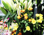 鲜花