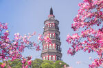 佛山市顺德顺峰山园粉红青云塔