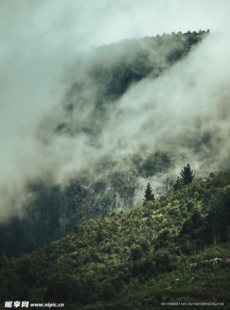 山林