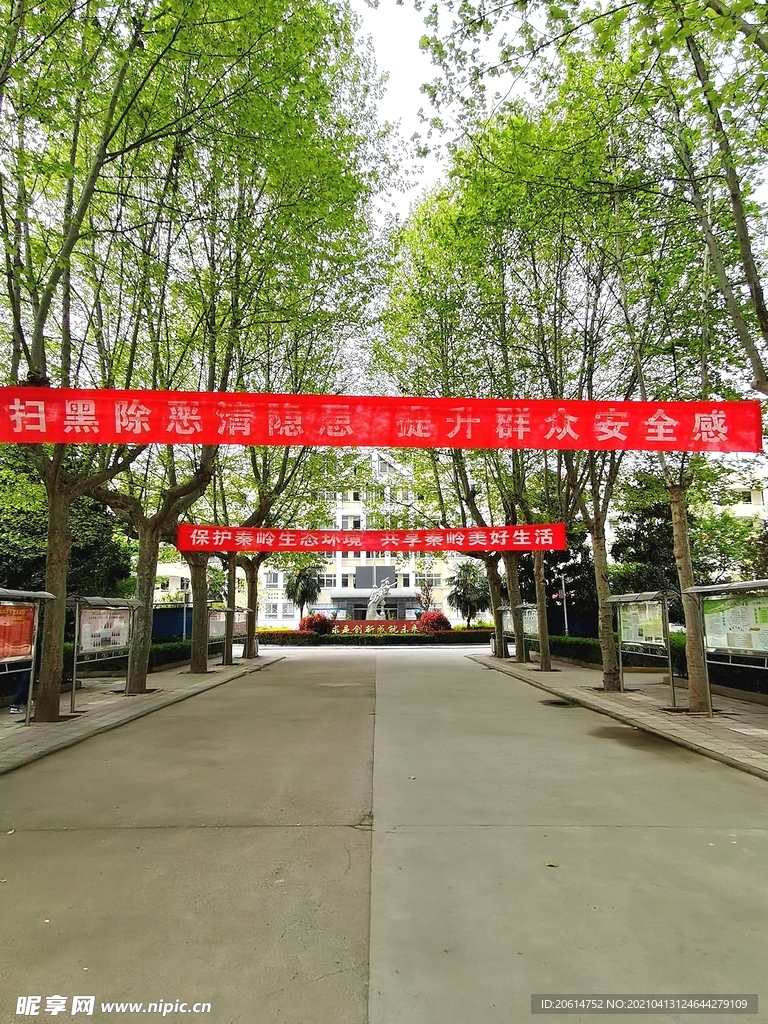 美丽的校园风景