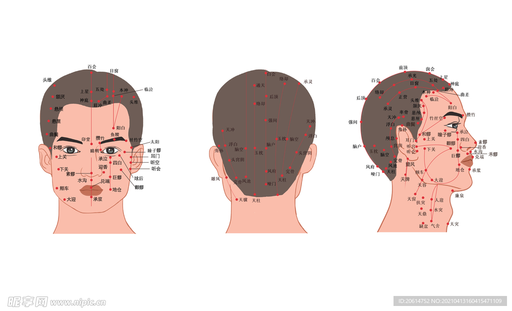 头部穴位海报