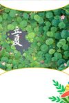 夏 中国风背景