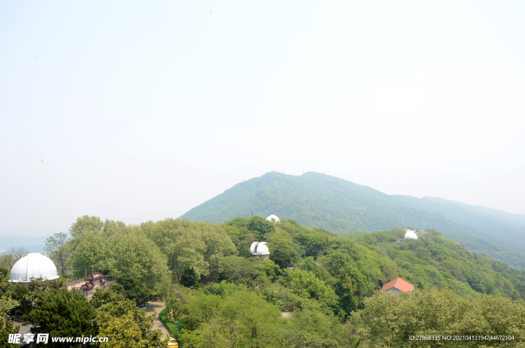 紫金山景色