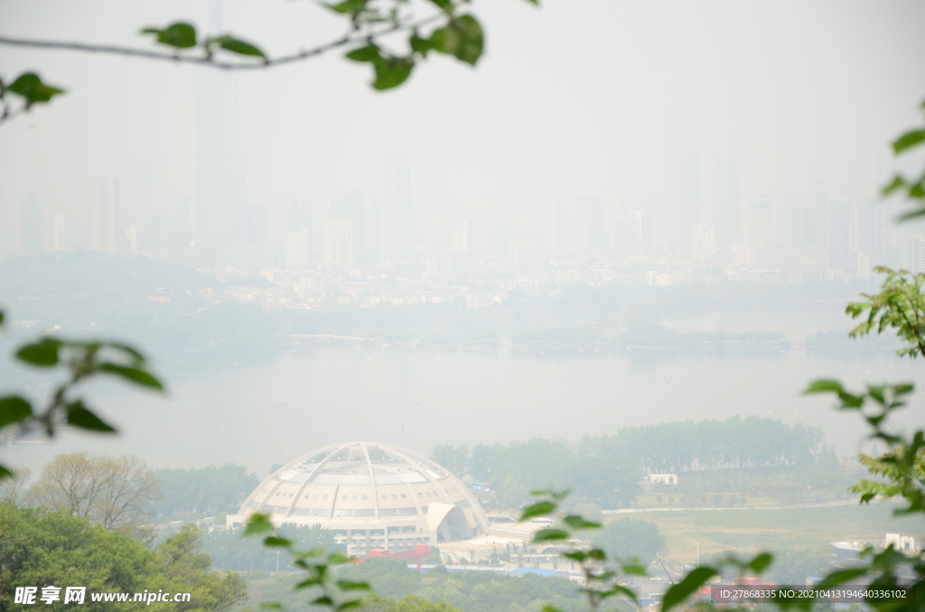 山上树木绿色植物大树风景