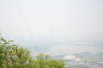 山上树木绿色植物大树风景