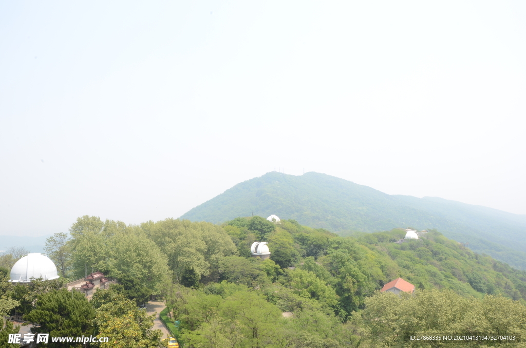 紫金山风景