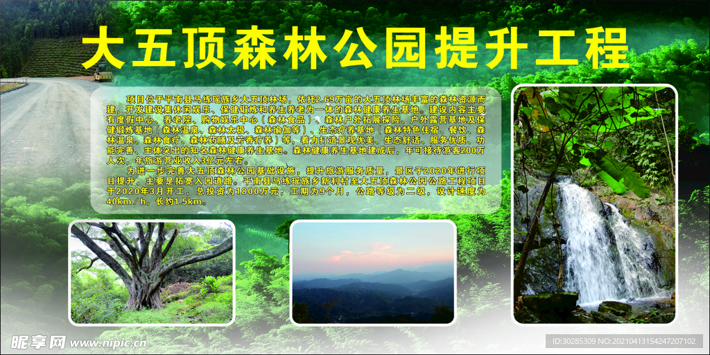 森林公园