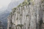 山