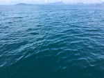 大海深海图片