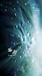 谷雨