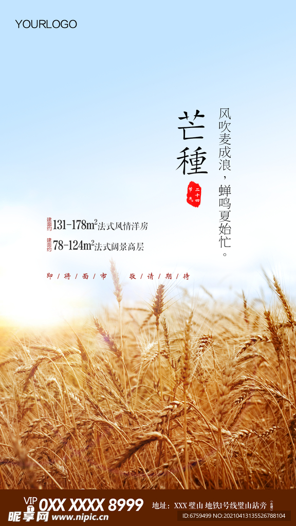 芒种 节气