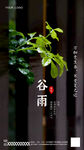 谷雨   节气