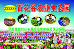 百花园