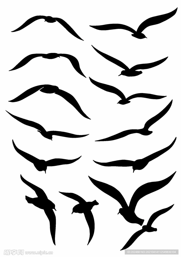海鸥剪影