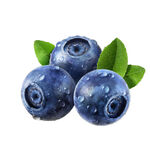 新鲜蓝莓png