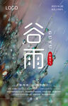 谷雨