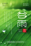 谷雨节气