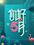 你好五月