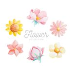 水彩绘花朵设计
