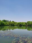 西湖美景