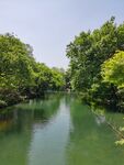 西湖美景