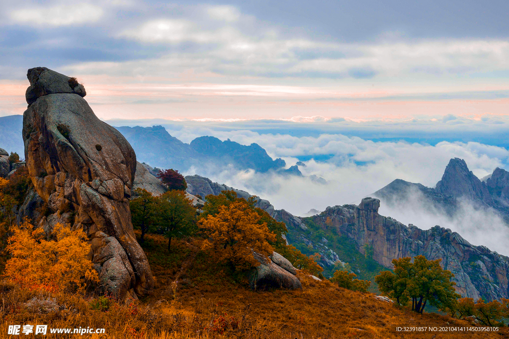 青山