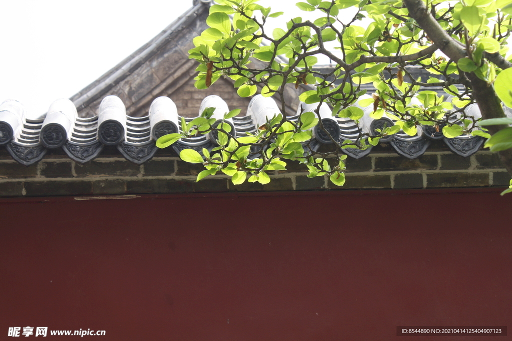 普照寺