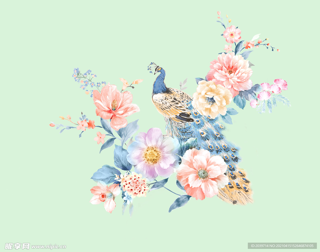 牡丹花和孔雀