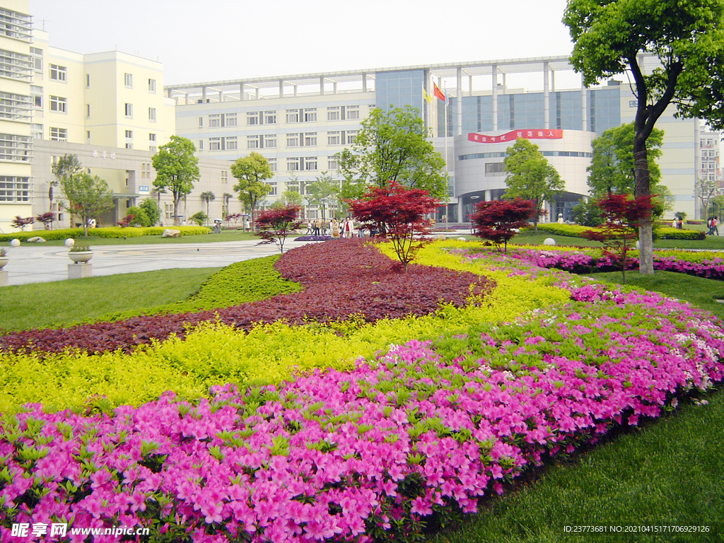 杭医  大学