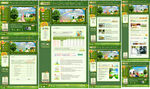 绿色韩版生活网站模板