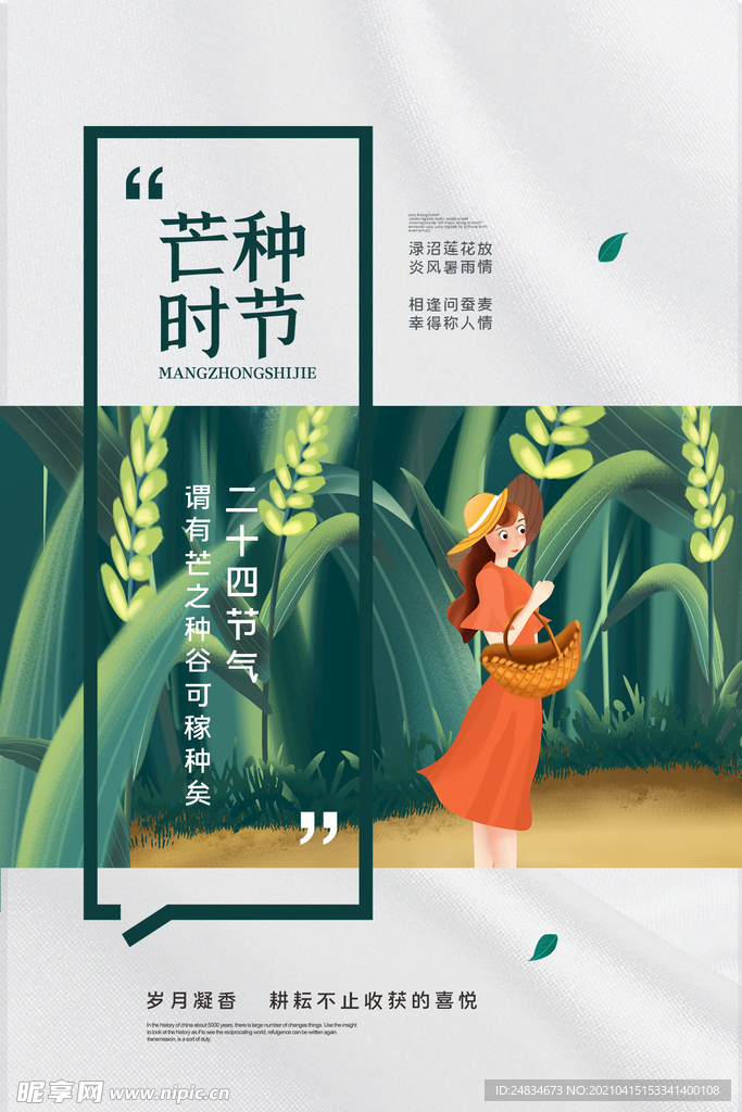 芒种