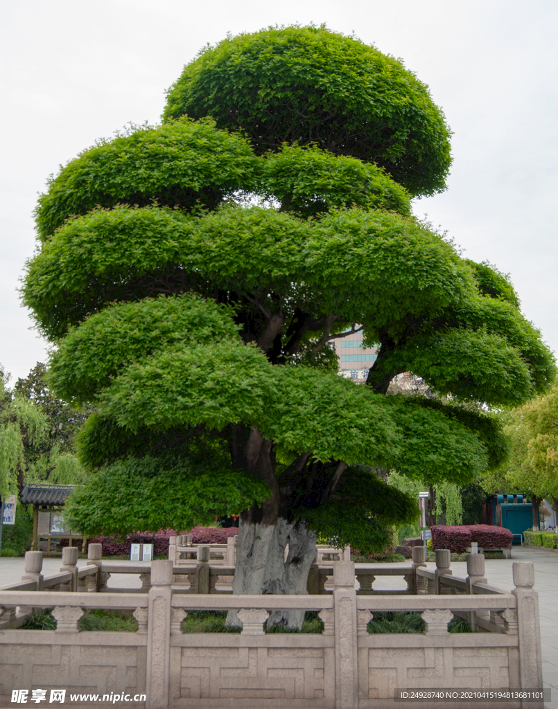 造型
