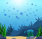 海底世界鱼群风景