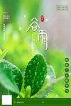 谷雨海报