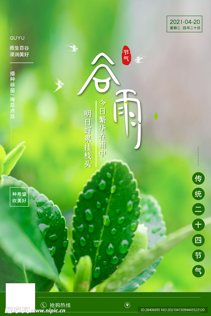 谷雨海报