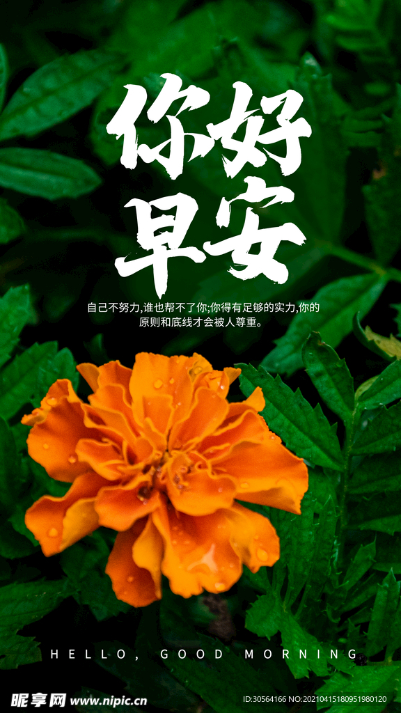 你好早安日常活动海报素材
